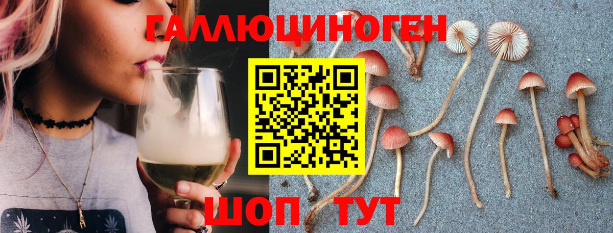 Оренбург  Галлюциногенные грибы Psilocybe  как найти закладки  Вход с VPN 
